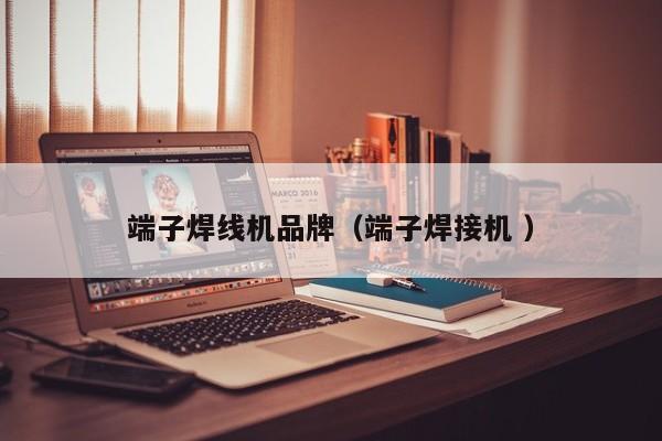 端子焊線機品牌（端子焊接機 ）